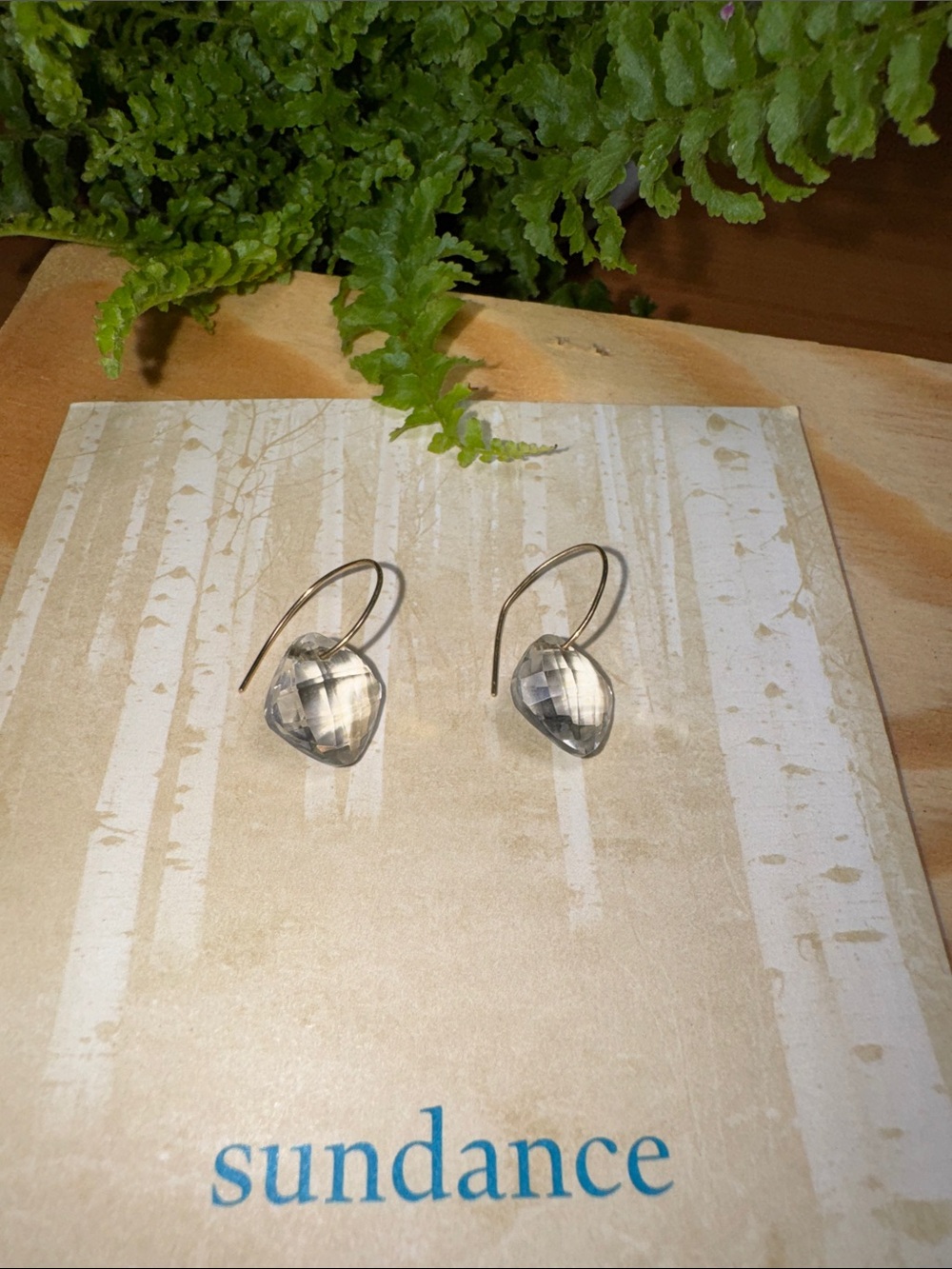 Sundance Clear Faceted Teardrop Hook Earrings